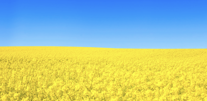 Усі типи речень про рідний край для учнів початкових класів