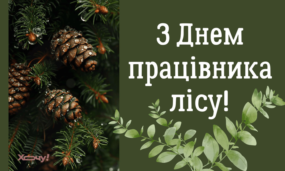 Привітання з днем працівника лісу своїми словами: душевні, офіційні та короткі (СМС) вітання в прозі